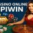 IPIWINBONUS886
